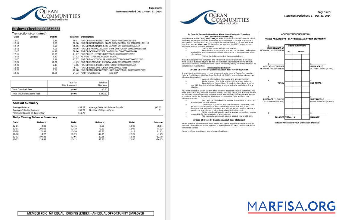 Printable USA Maine Ocean Communities Federal Credit Union bank statement word 3 pages 2 sample